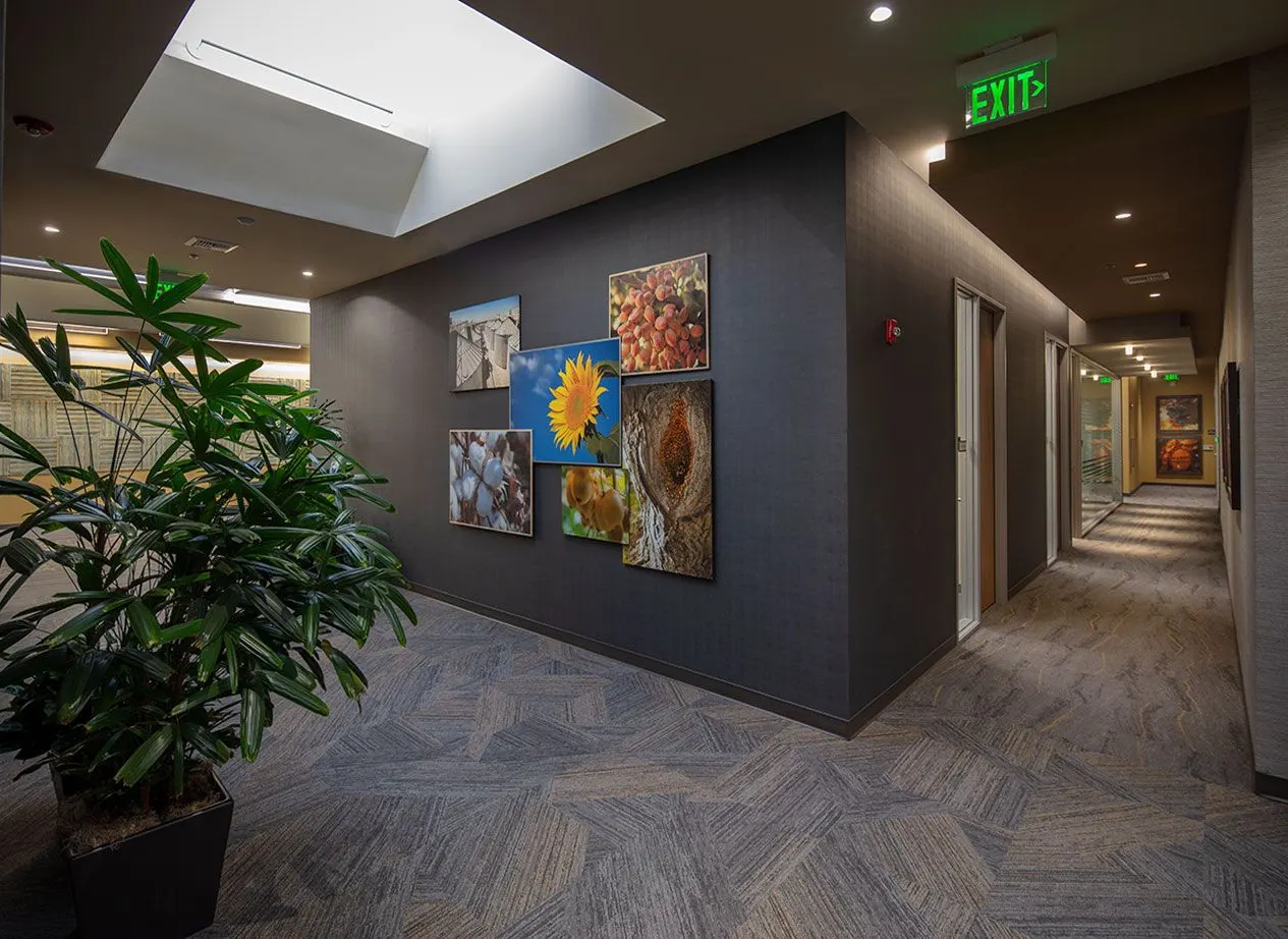 Farm Credit, Rocklin, CA. Borges Architectural Group | photograph by Ed Asmus
