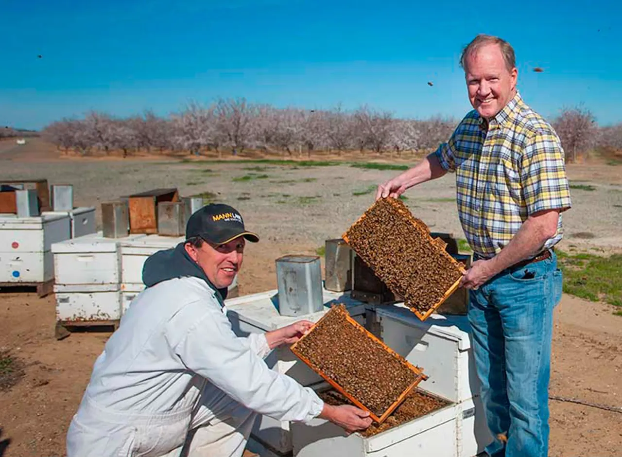 California Almond Growers, Modesto, CA | photograph by Ed Asmus
