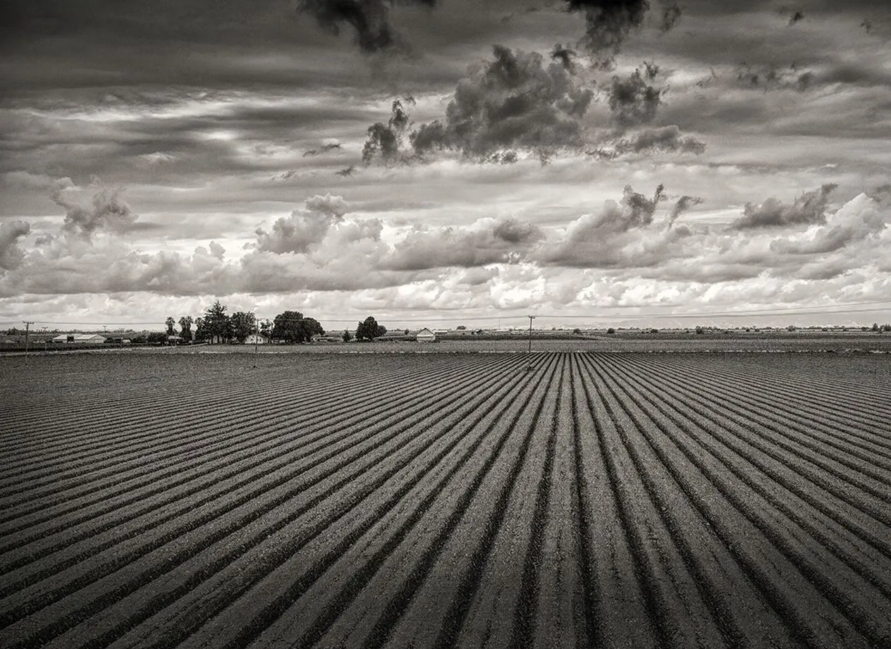 The California Delta | photograph by Ed Asmus
