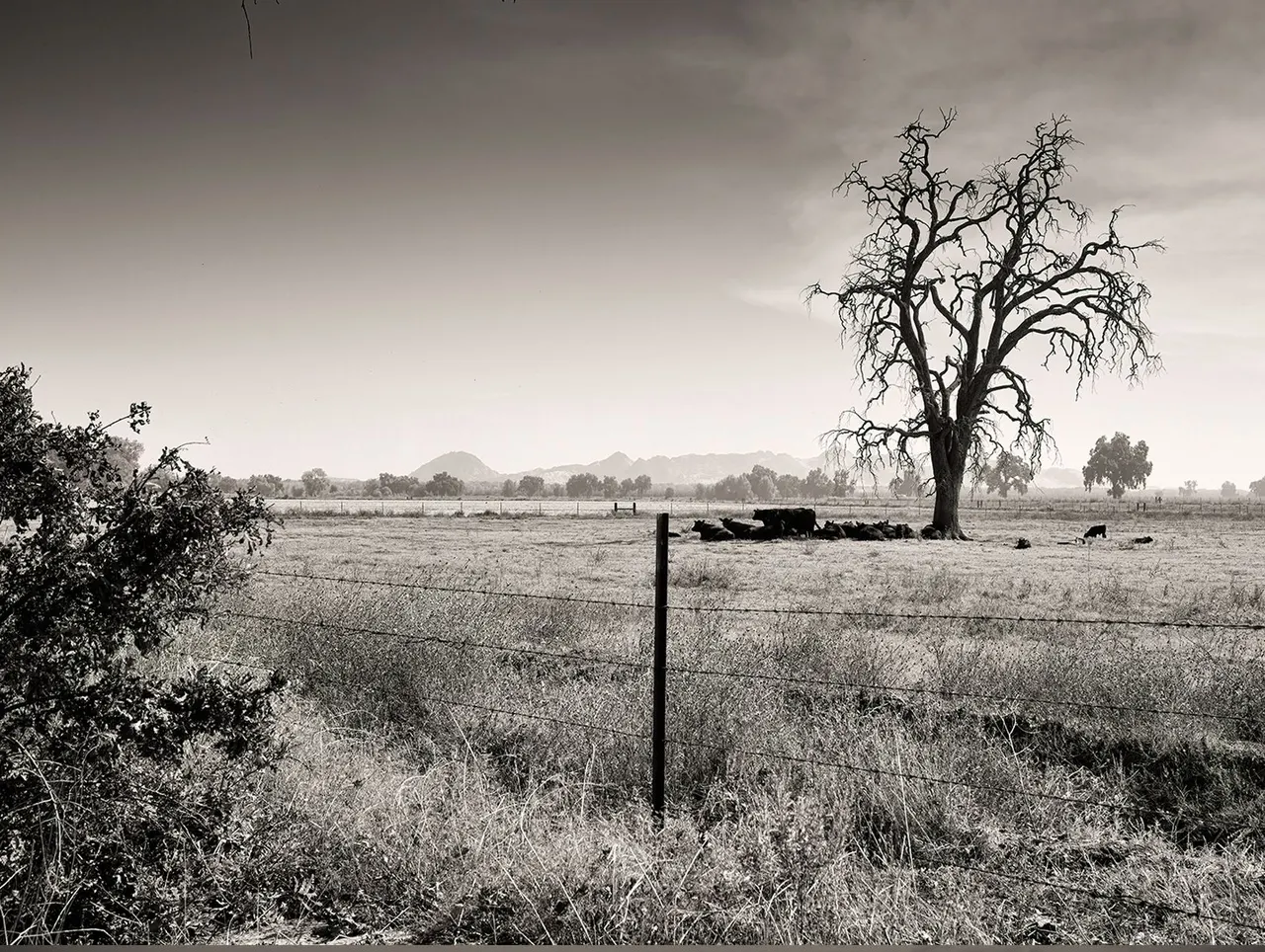 Sutter Buttes, Sutter County, CA | photograph by Ed Asmus