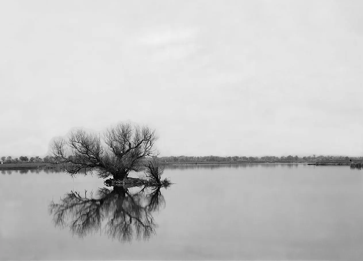 Stone Lakes Wildlife Refuge | photograph by Ed Asmus