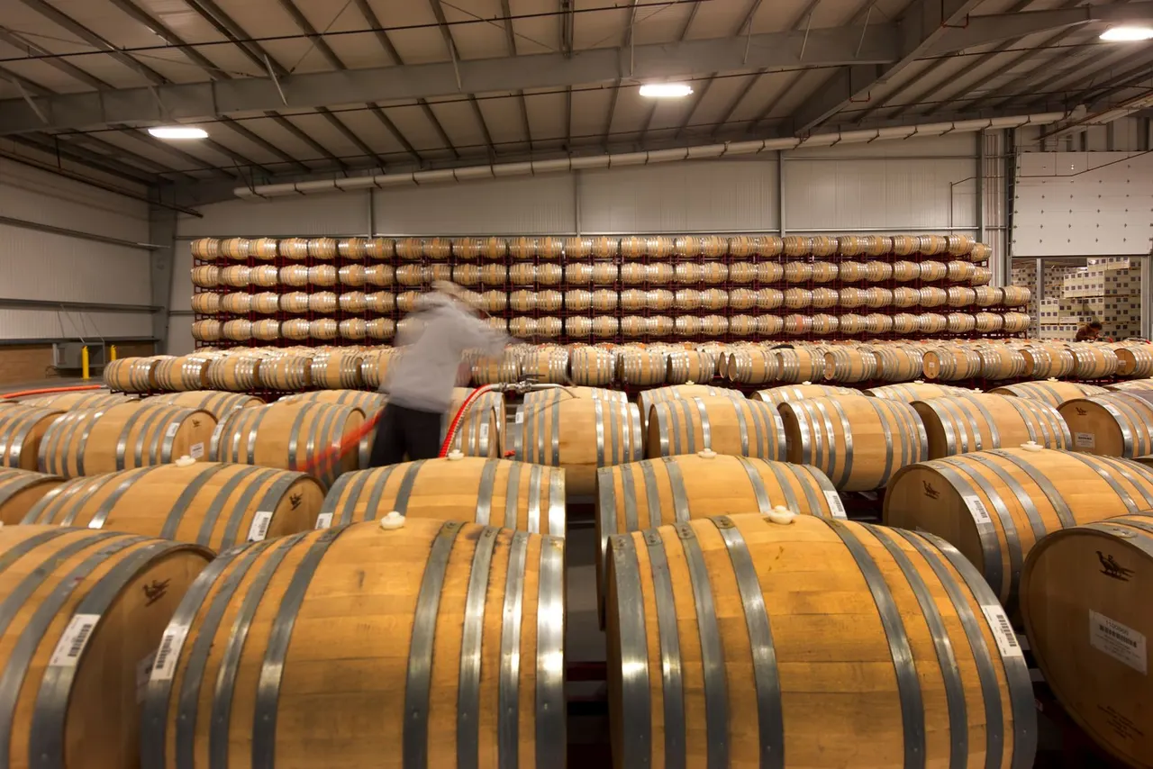 Bogle Winery, Clarksburg, CA. R & S Construction | photograph by Ed Asmus