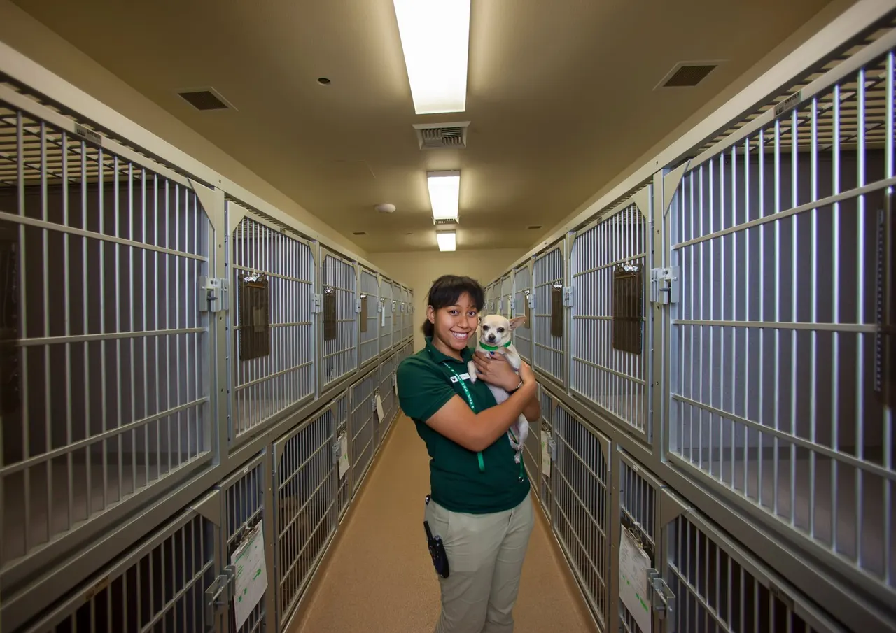 Mueller's Animal Hospital, Sacramento, CA | photograph by Ed Asmus