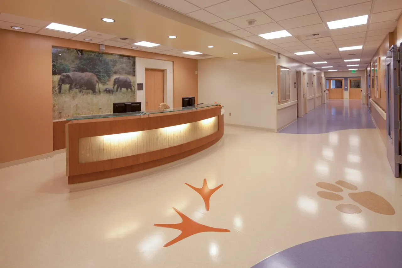 UC Davis Medical Center, Pediatrics, Sacramento, CA. LBL Architects Santa Moncia, CA | photograph by Ed Asmus