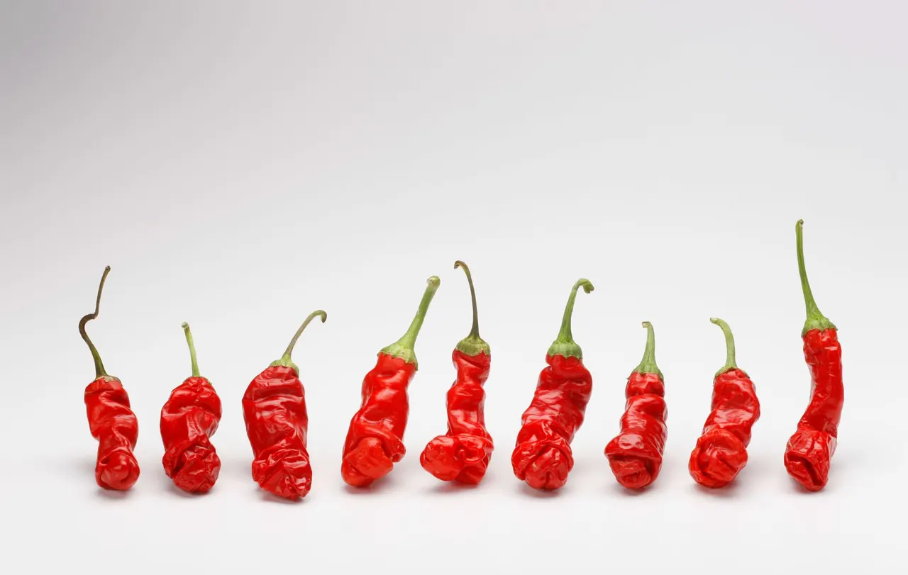 Chili Peppers | photograph by Ed Asmus