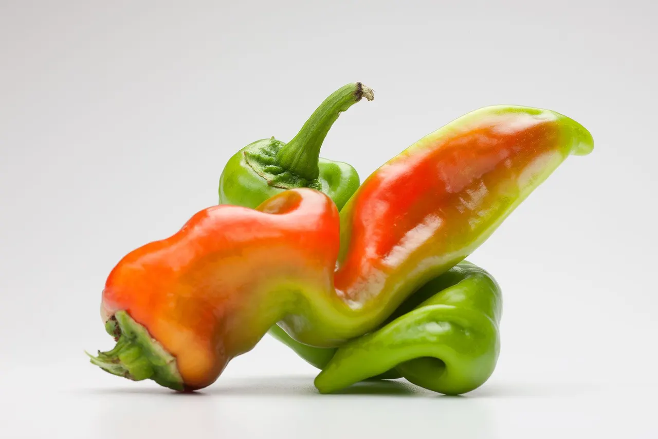 Chili Peppers | photograph by Ed Asmus