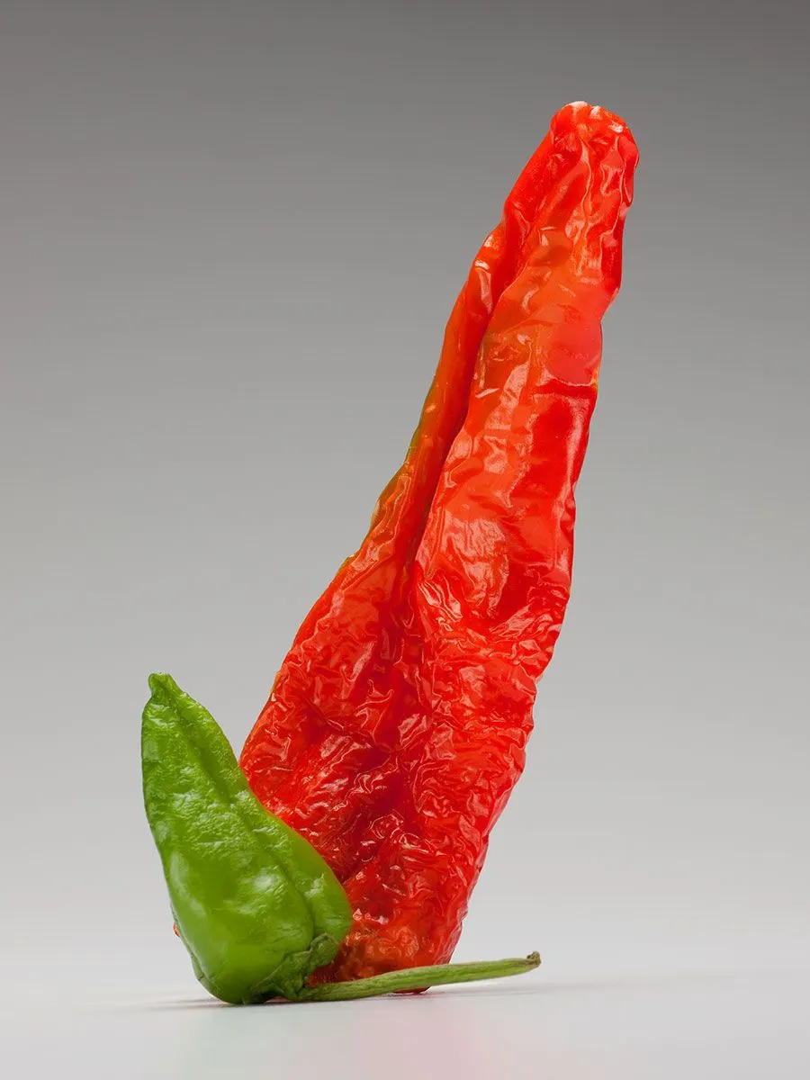 Chili Peppers | photograph by Ed Asmus
