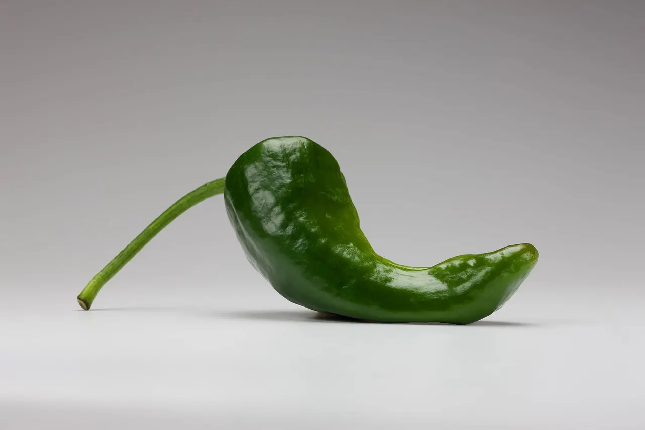 Chili Peppers | photograph by Ed Asmus