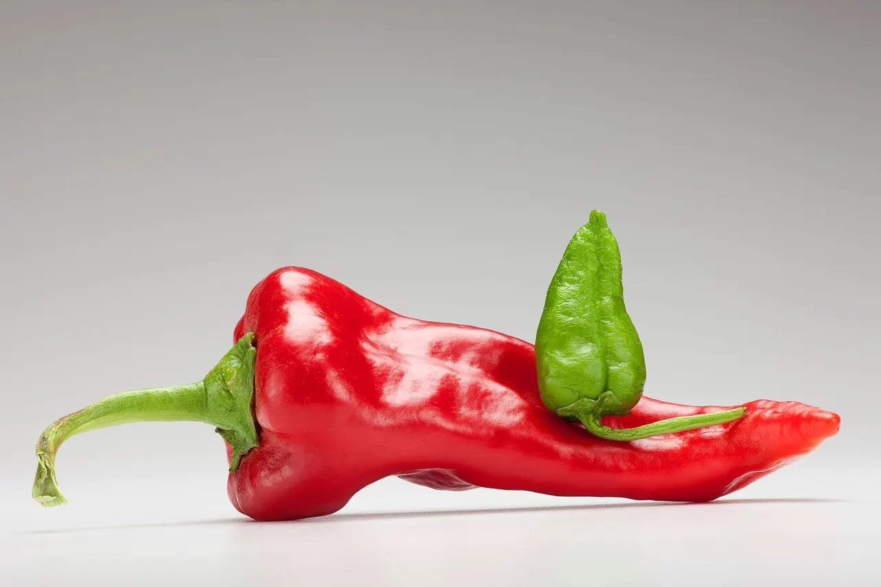 Chili Peppers | photograph by Ed Asmus