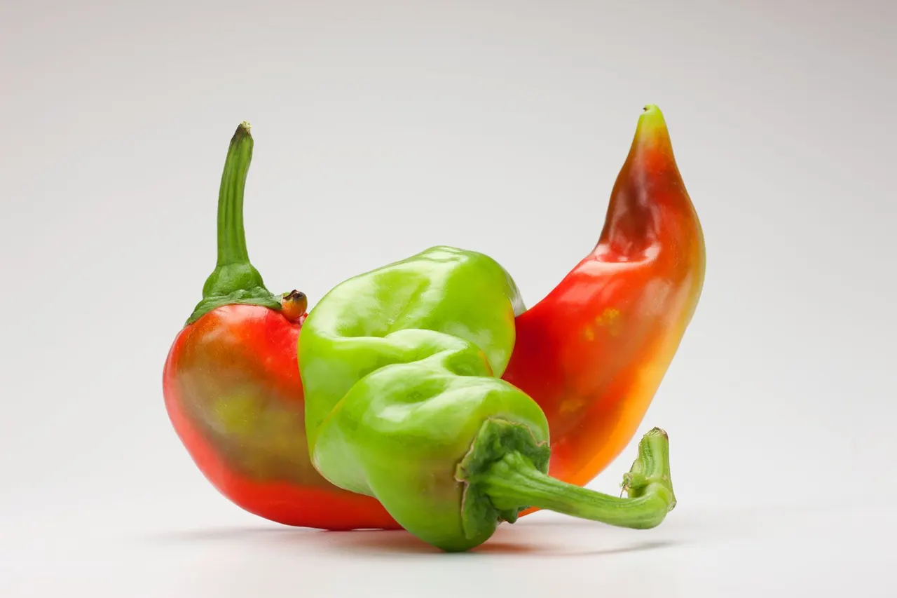 Chili Peppers | photograph by Ed Asmus