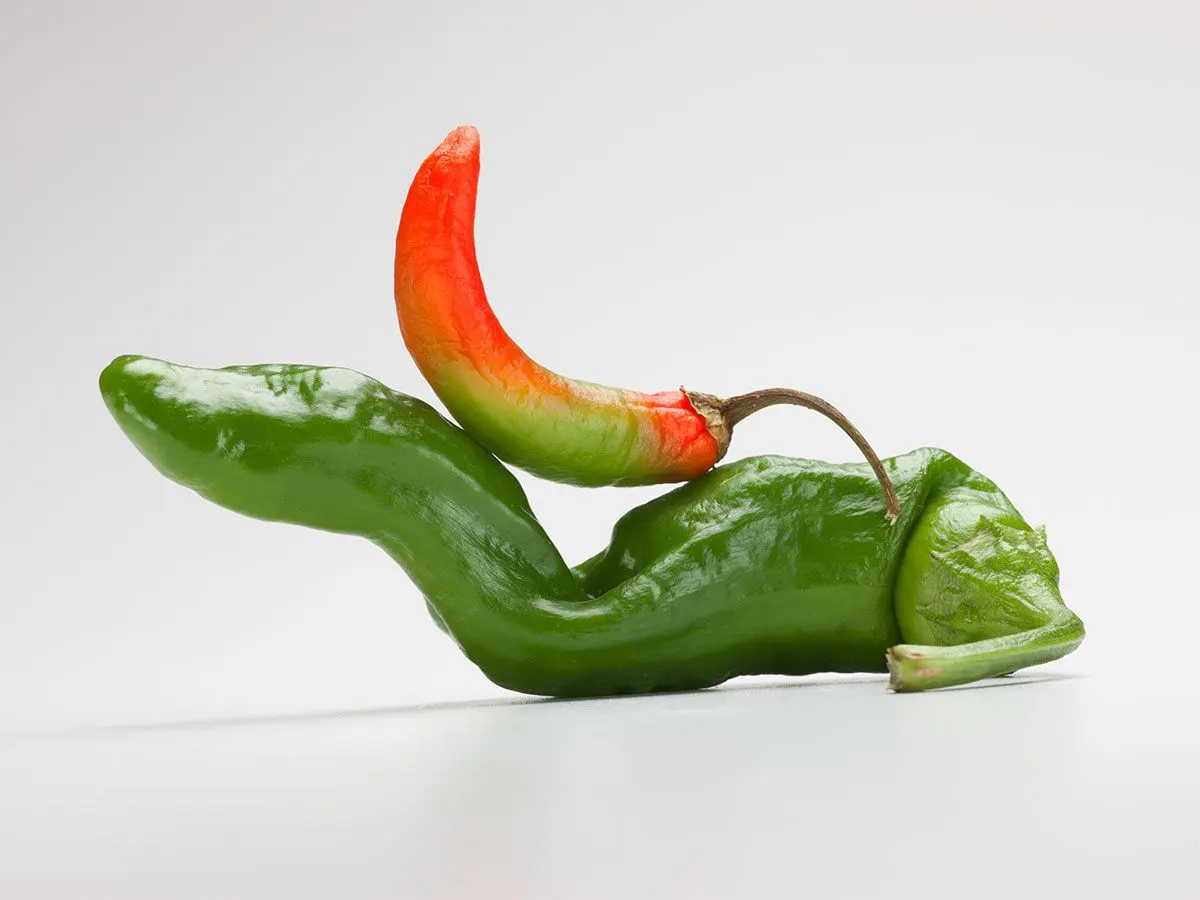 Chili Peppers | photograph by Ed Asmus