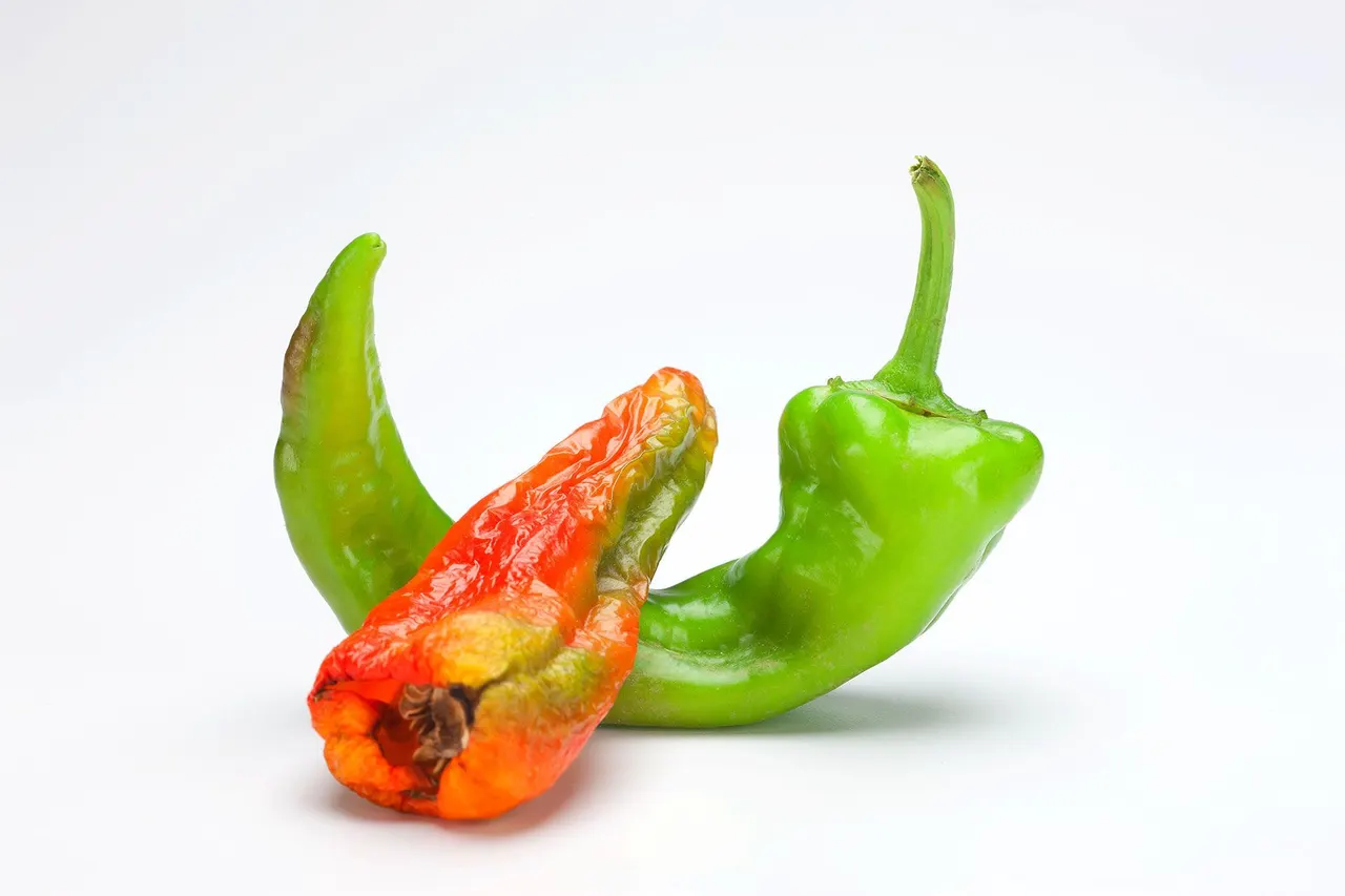 Chili Peppers | photograph by Ed Asmus