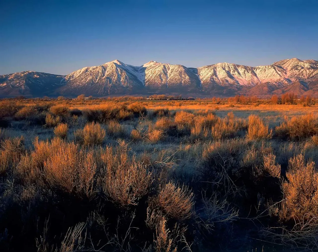 Landscape | photograph by Ed Asmus