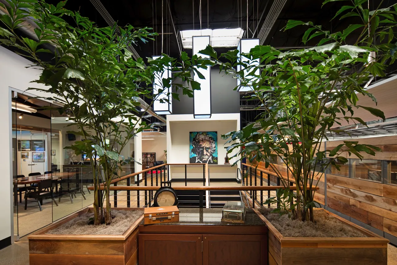 Collins Electrical Company HQ, Stockton, CA | photograph by Ed Asmus